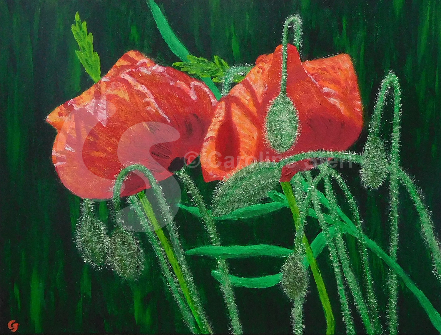 Painting: Two Poppies